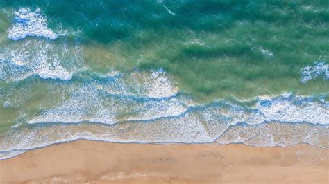 ocean charity organizations|OceanCare: For Healthy Living Oceans.